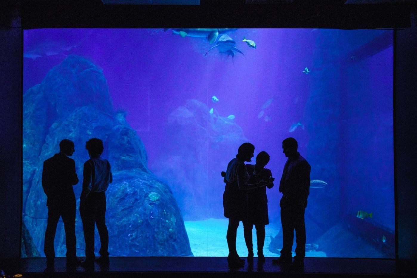 Moore-Adventure-Aquarium-Wedding-Photographer-001